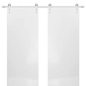 0010 48 in. x 96 in. Flush White Finished Wood Sliding Barn Door with Hardware Kit Stailess