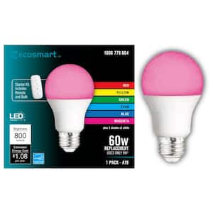 60-Watt Equivalent A19 CEC Color Changing LED Party Light Bulb Starter Kit with Remote (1-Pack)