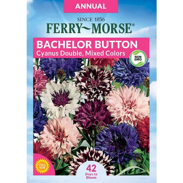 Ferry-Morse Bachelor Button Cyanus Double Mixed Colors Flower Seed