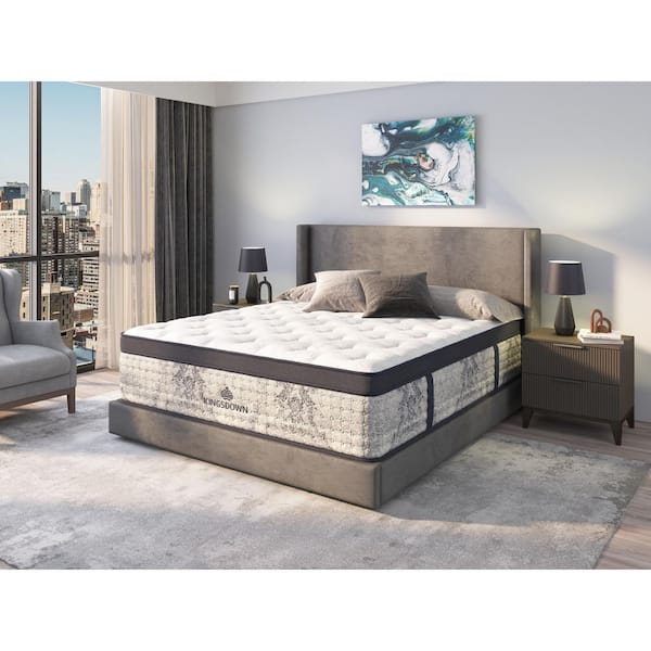 Passions Bridgepointe Twin XL Plush 16 in. Euro Pillow Top Hybrid Mattress