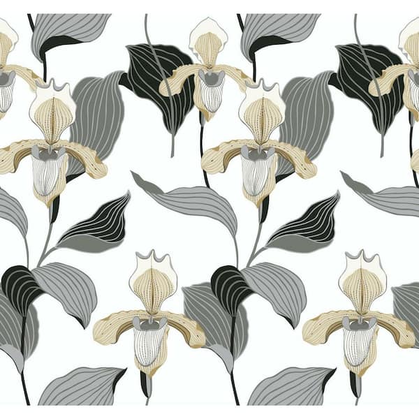 York Wallcoverings 60.75 sq. ft. Lady Slipper Wallpaper
