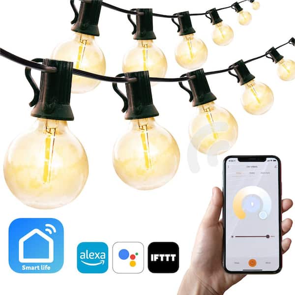 Newhouse Lighting Outdoor 50 ft. Plug-in Globe Bulb LED Smart App-Enabled String Light, Dimmable, E12,2700K, Bulbs Included (26-Light)