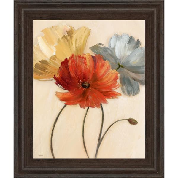 Classy Art 22 in. x 26 in. "Poppy Palette I" by Nan Framed Printed Wall Art