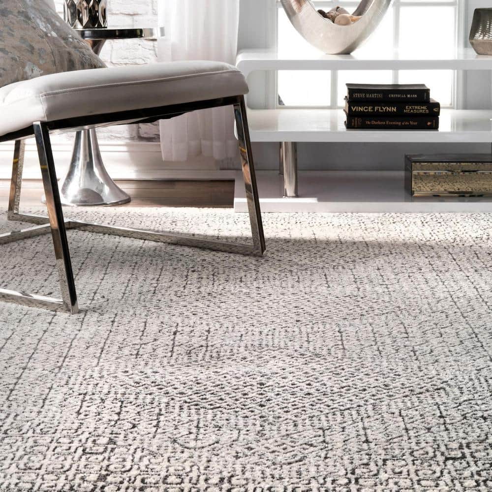 Exie Light Gray Moroccan Geometric 3x5 Area Rug