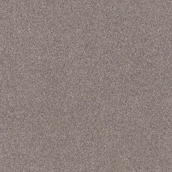 Home Decorators Collection 8 in x 8 in.  Texture Carpet Sample - Columbus I - Color Pebble