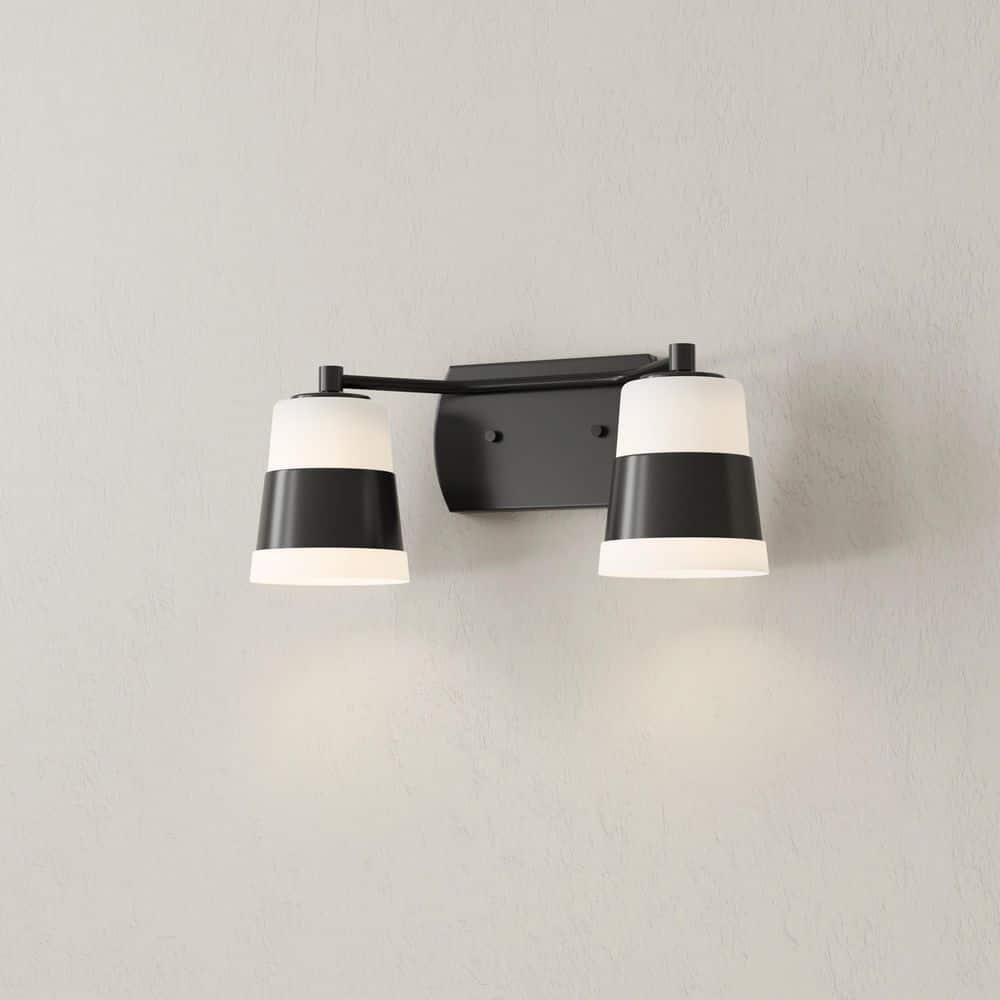 Haven Collection 16 in. 2-Light Matte Black Opal Glass Luxe Industrial Vanity Light price history on PriceWatchPro