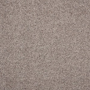 8 in. x 8 in. Texture Carpet Sample - Playful Moments II (M) -Color Parchment