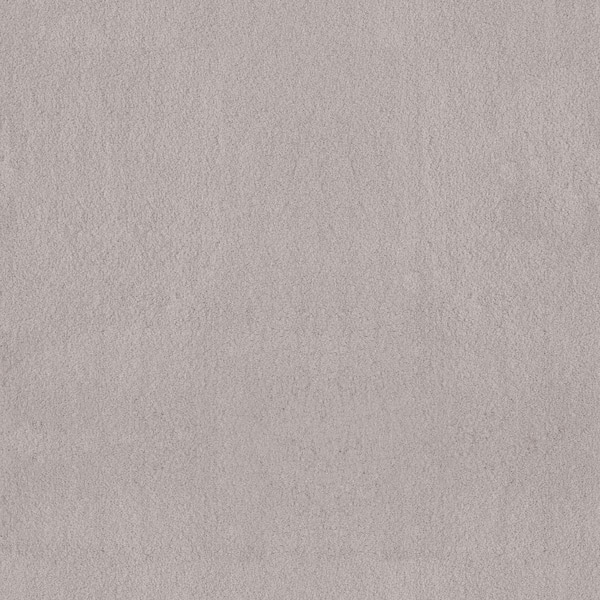 Lifeproof Dreamy Daze I Lapis Beige 56 oz. Nylon Texture Installed Carpet