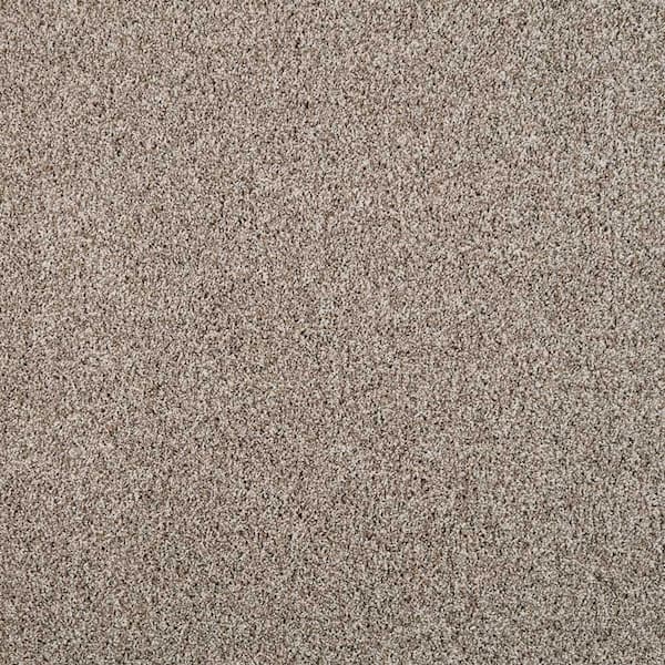 Lifeproof with Petproof Technology Barx I  - Neutral - Beige 43 oz. Triexta Texture Installed Carpet
