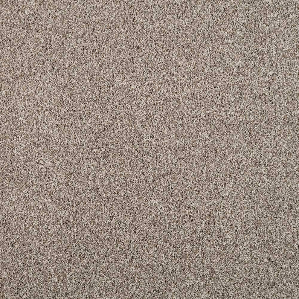 Lifeproof with Petproof Technology Barx II - Neutral - Beige 56 oz. Triexta  Texture Installed Carpet 0778D-26-12 - The Home Depot