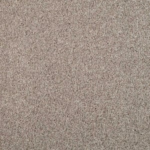 Barx II  - Neutral - Beige 56 oz. Triexta Texture Installed Carpet
