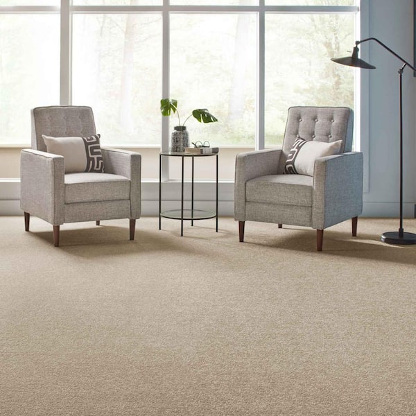 Gemini I - Hazy Stratus - Gray 38 oz. Polyester Texture Installed Carpet