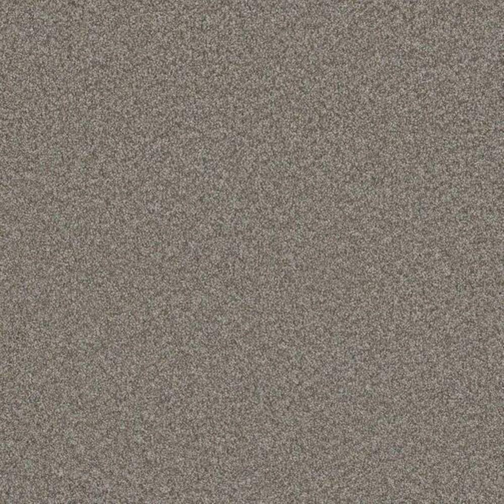 8 in. x 8 in. Texture Carpet Sample-Harpstring I-Color Mystical price history on PriceWatchPro