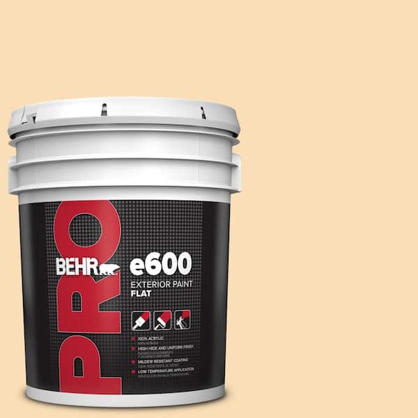 5 gal. #M260-3 Time Out Exterior Flat Paint