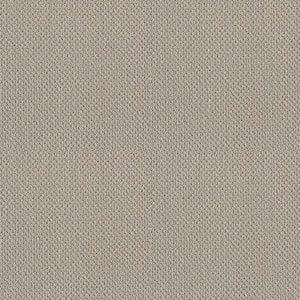 Lightbourne - Clouded - Beige 39.3 oz. Nylon Loop Installed Carpet