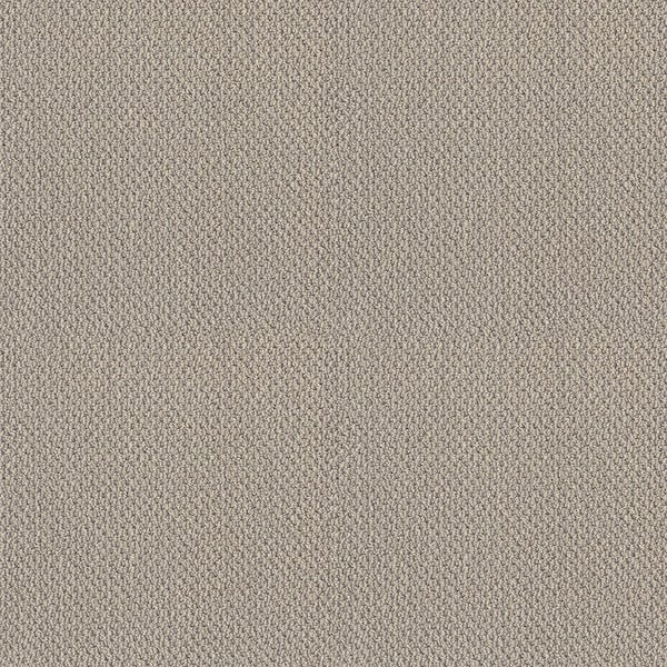 Lightbourne - Clouded - Beige 39.3 oz. Nylon Loop Installed Carpet