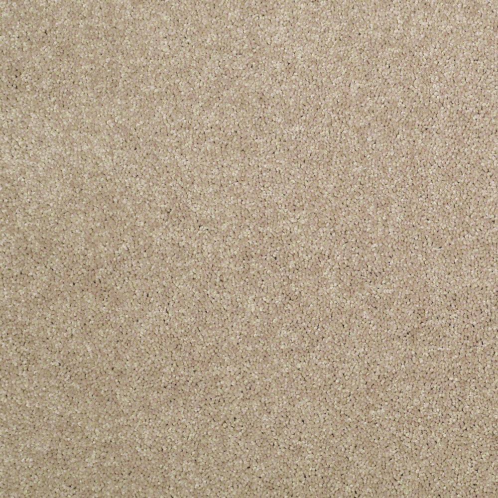 8 in. x 8 in. Texture Carpet Sample - Watercolors I - Color Mole Hill price history on PriceWatchPro
