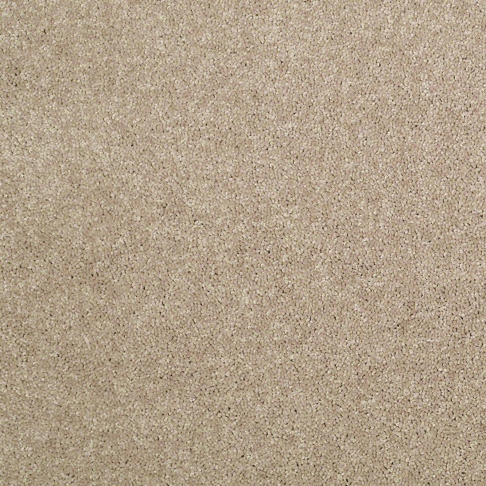 8 in. x 8 in. Texture Carpet Sample - Watercolors II - Color Mole Hill price history on PriceWatchPro