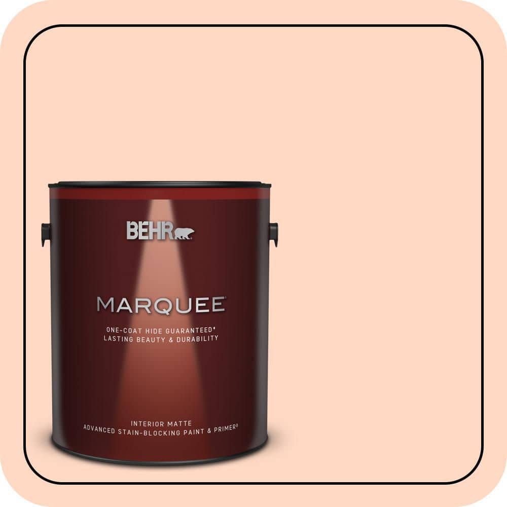 1 gal. #230C-2 Shell Coral Matte Interior Paint & Primer product image for price tracking