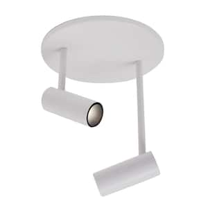 Downey 2 in. 1 Light 6-Watt White Integrated LED Semi-Flush Mount