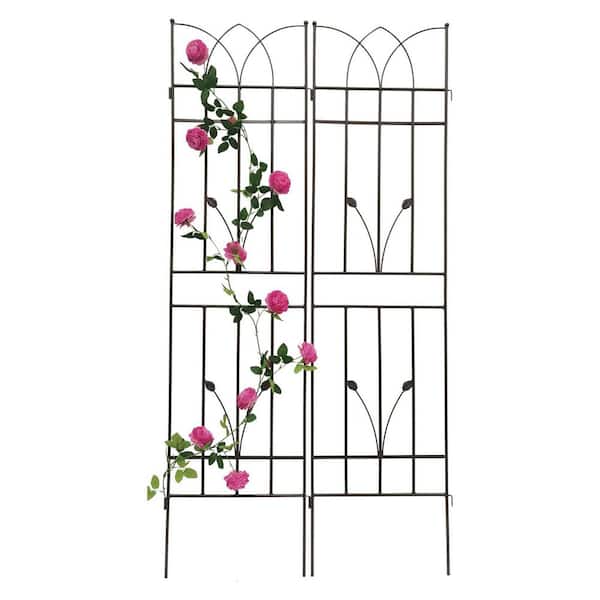 2-Pack Metal Garden Rustproof Trellis 71 in. Height for Climbing Plants Outdoor Flower Support in Brown