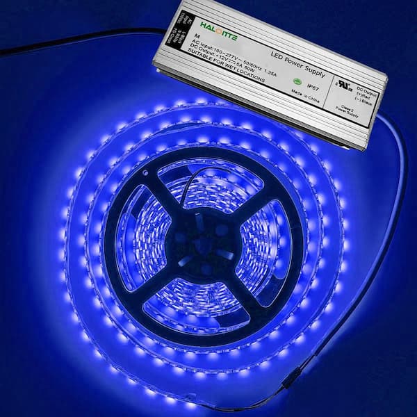 60-Watt 120-277V Constant Voltage LED Driver Lamp Output 12-Volt DC Power Supply 0-10V Dim IP65 Replacement Ballast