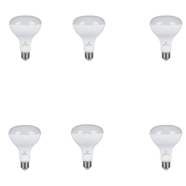 Globe Electric 65W Equivalent Warm Light BR30 Dimmable LED Light Bulb (6-Pack)