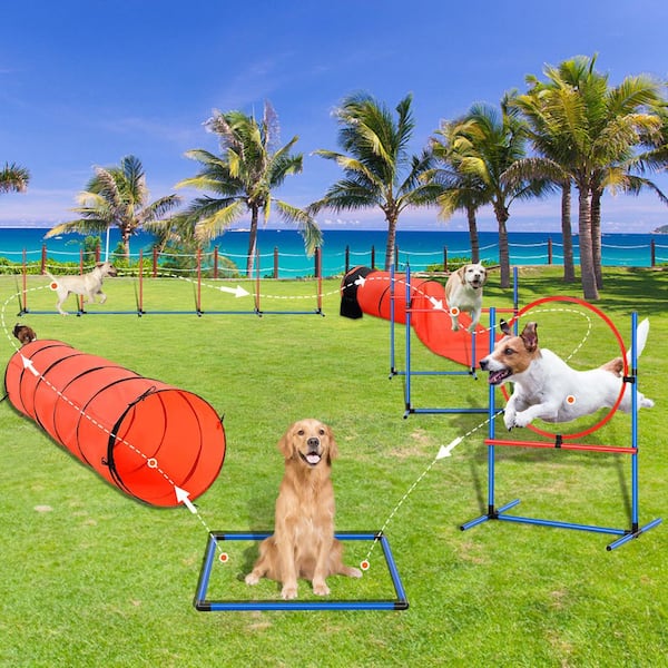 EGDE MOTION ハーネス&ジョック L-XL セット Orange SKYSHALO Dog Agility Training Equipment, 7 PCS Set Upgrade with
