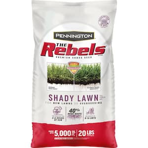 The Rebels 20 lb. 5,000 sq. ft. Shady Lawn Grass Seed Mix