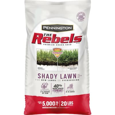 The Rebels 20 lbs. Shady Lawn Grass Seed Mix