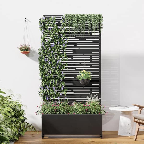 72 in. x 35 in. Black Outdoor Metal Privacy Screen Raised Planter Box Wall Decor