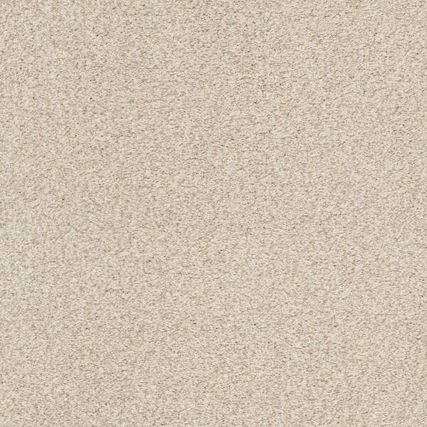 Lifeproof 8 in. x 8 in. Texture Carpet Sample - Karma II - Color Face Powder