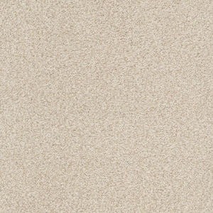 Karma II - Face Powder - Beige 50.5 oz. Nylon Texture Installed Carpet