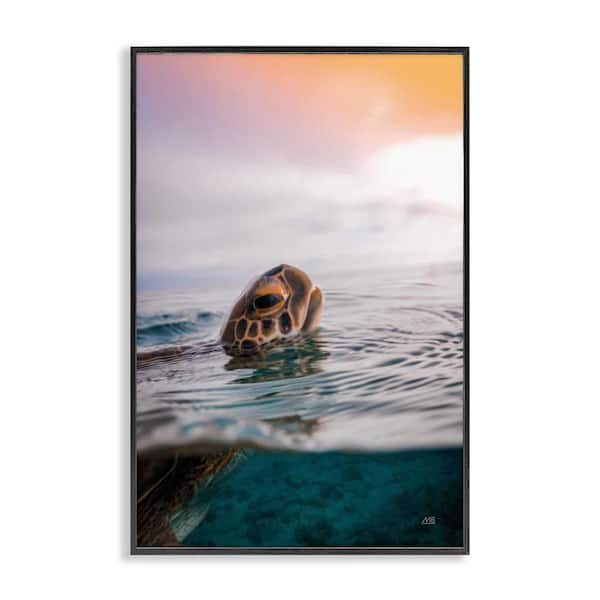 Turtle Swim at Sunrise by Max Blakesberg Studios Black Framed Animal Giclee Art Print 18 in. x 12 in.