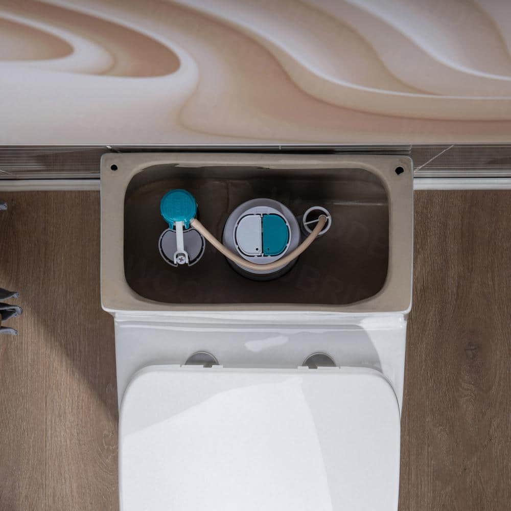 White Elongated One-Piece Dual Flush Toilet with Chrome Button