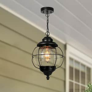 1-Light Black Modern Globe Cage Outdoor Pendant Light Coastal Lantern Patio Island Pendant Light with Seeded Glass Shade