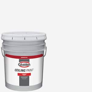 5 gal. White Flat Interior Ceiling Paint