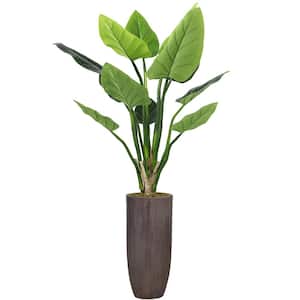 6.17 ft. Tall Green Artificial Faux Real Touch Philodendron Erubescens Trees in Fiberstone Planter