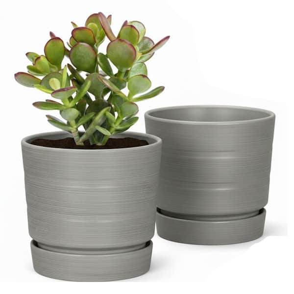 Lark & Vine Leith Grey Resin Recycled Materials Planter with Saucer (8 in. L x 8 in. W x 7.5 in. H) (2-Pack)