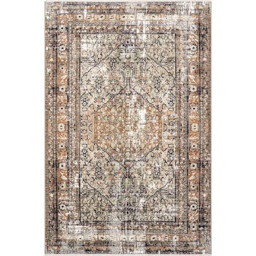 "Charvi Beige Distressed Medallion Fringe Area Rug Multicolor 6' 4"" ft. x 6' 4"" ft. Area Rug" price history on PriceWatchPro