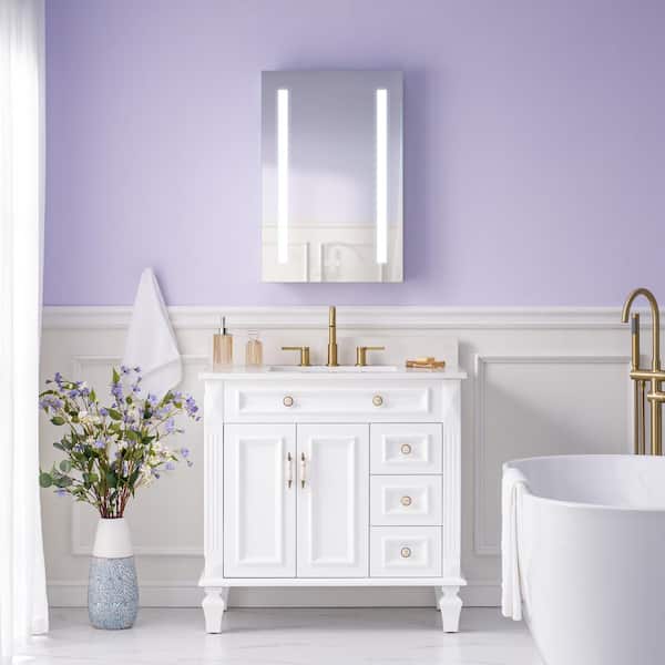 20 in. W x 30 in. H Rectangular Aluminum Medicine Cabinet with Mirror Lights, Anti-Fog,Left Soft Close Door,BLUM Hinge