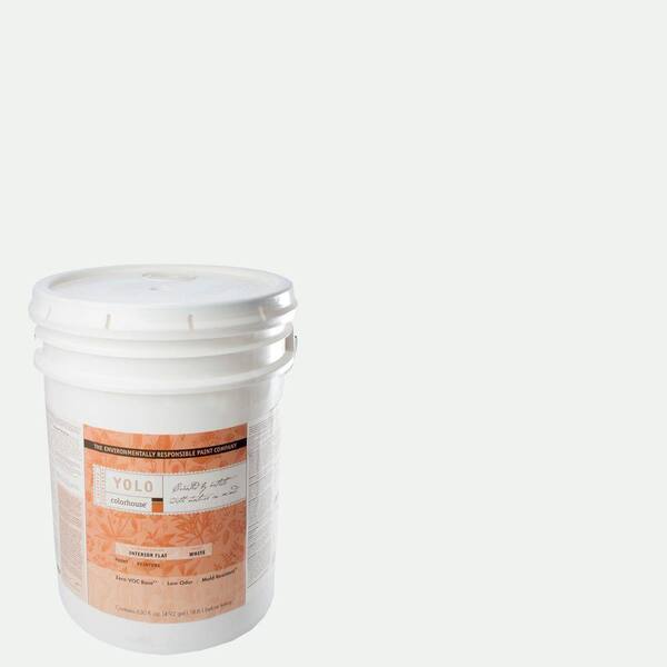 YOLO Colorhouse 5-gal. Imagine .05 Flat Interior Paint-DISCONTINUED