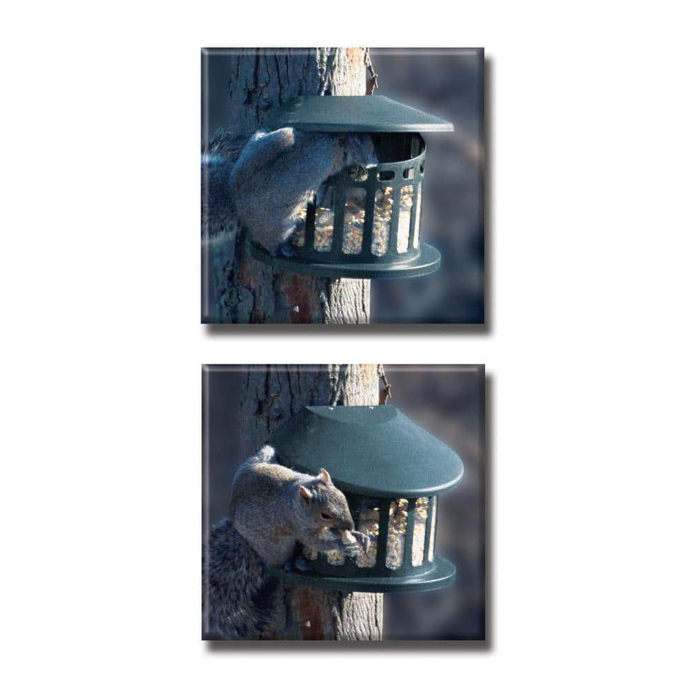 Green Powder-Coated Alloy Steel Hanging Squirrel Feeder