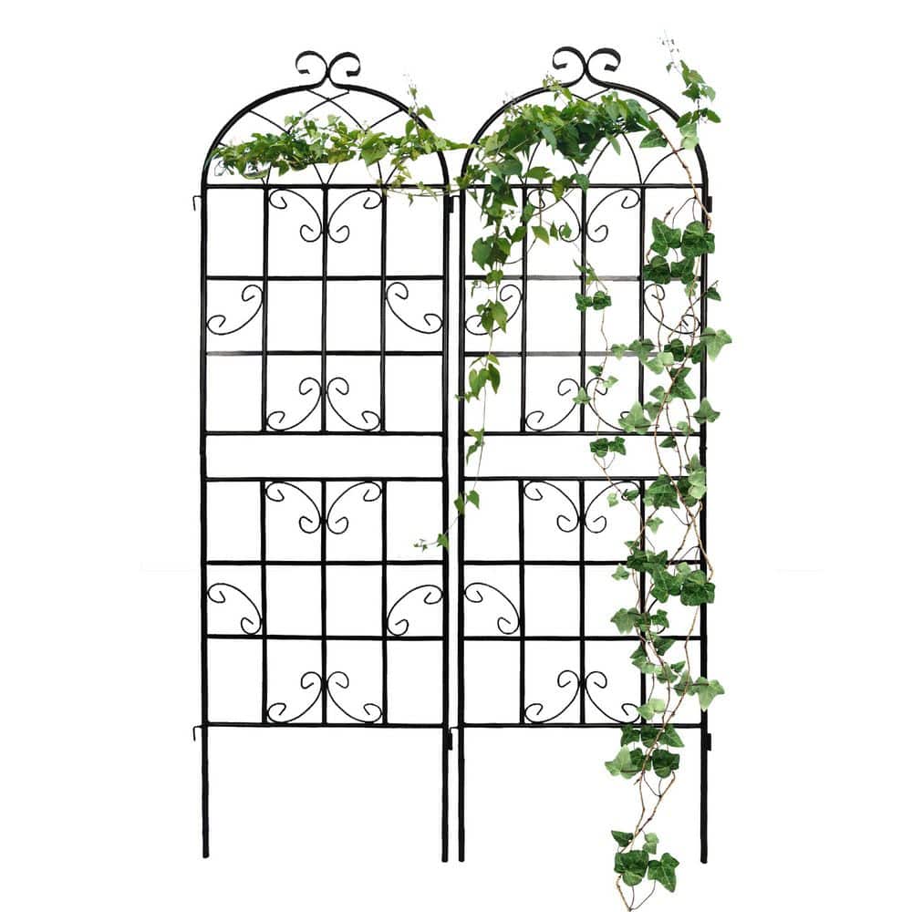 Plant Trellis for Climbing Plants, 19.7 in. L x 71 in.H Garden Metal Trellis for Potted Plants Outdoor (Black, 2 Pack) price history on PriceWatchPro