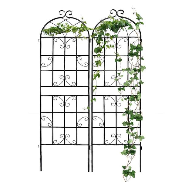 TUYOHW Plant Trellis for Climbing Plants, 19.7 in. L x 71 in.H Garden Metal Trellis for Potted Plants Outdoor (Black, 2 Pack)