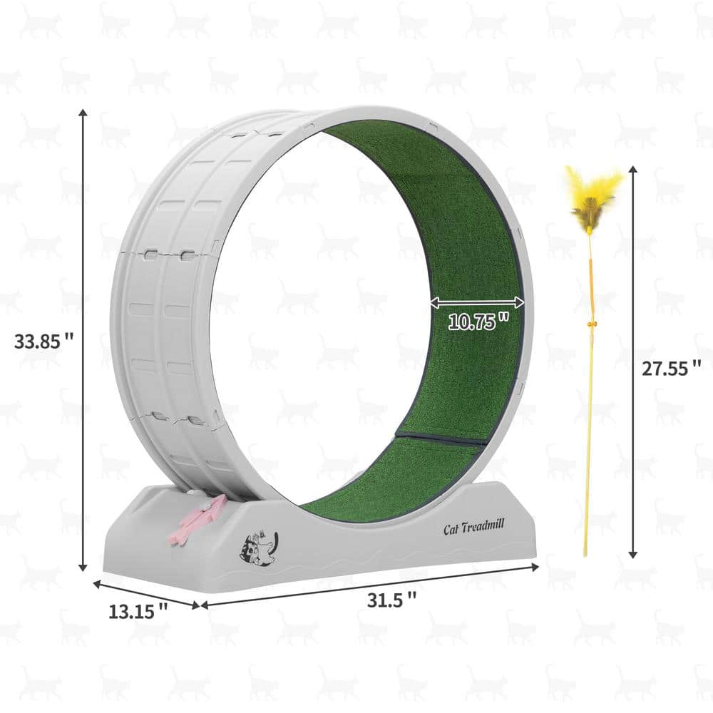 Gray and Green Freestanding Plastic Cat Exercise Wheel