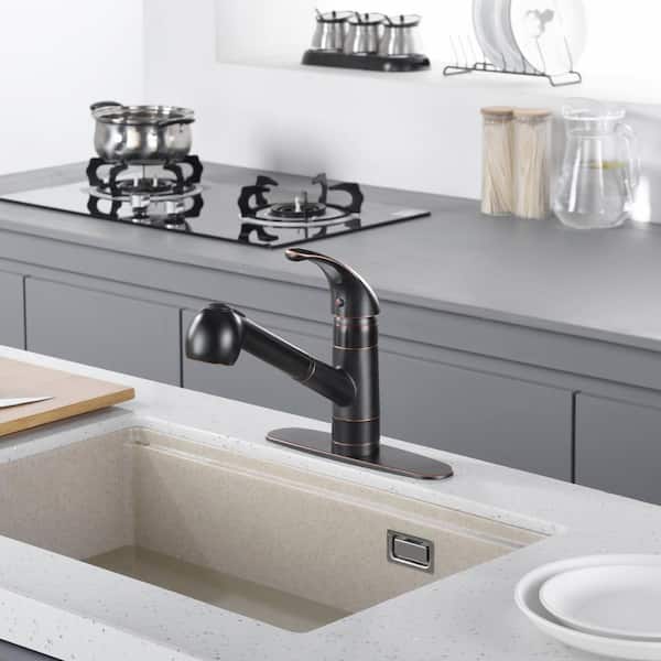 Vantage Single Handle Pull-Out Sprayer Kitchen Faucet with Accessories in Rust and Spot Resist in Oil Rubbed Bronze