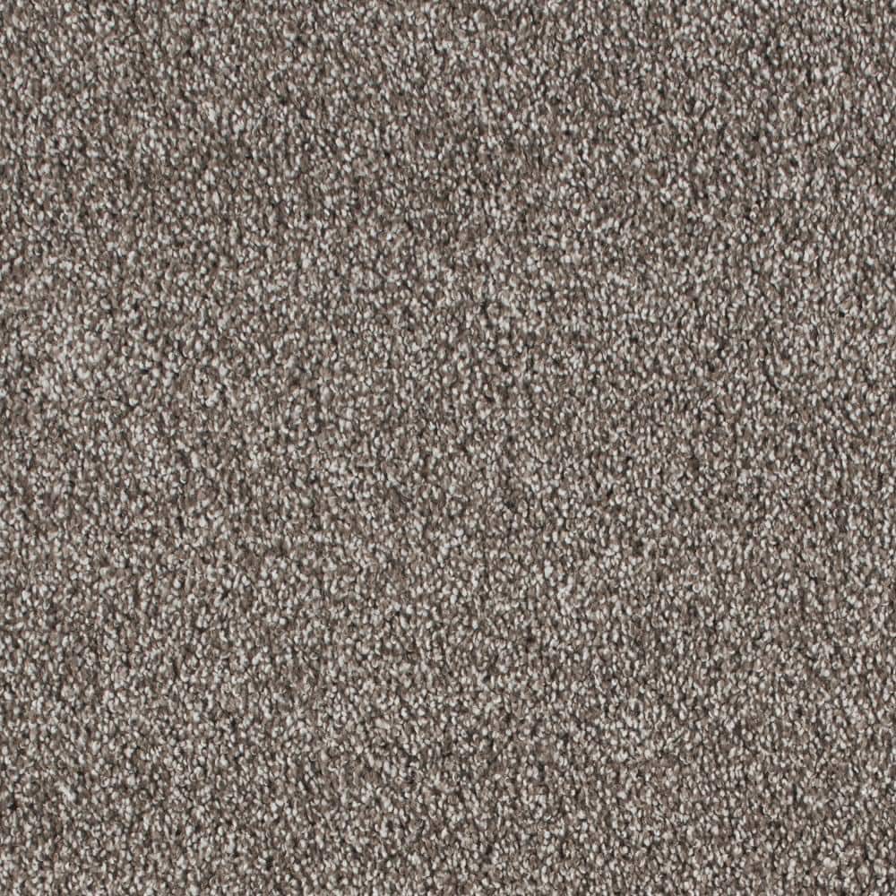 8 in. x 8 in. Texture Carpet Sample - Northern Hills II -Color Elevation price history on PriceWatchPro