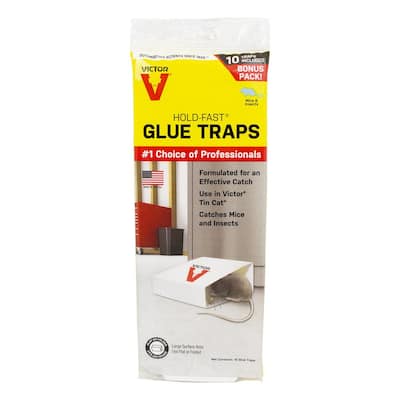 Mouse and Insect Glue Trap (10-Pack)