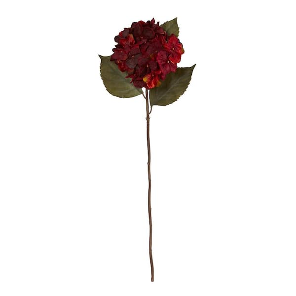 Dried Hydrangea Flower Bunch - Burgundy Color